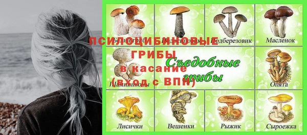 молекула духа Алзамай