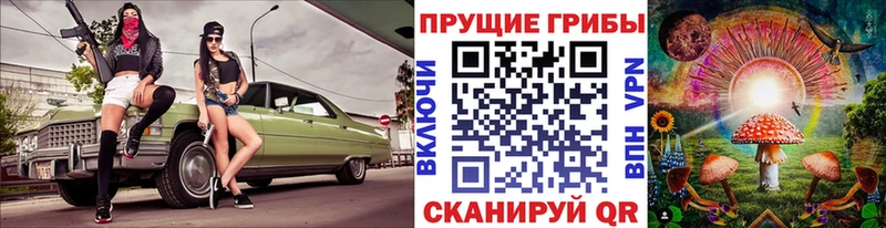 где купить наркотик  Яблоновский  Галлюциногенные грибы MAGIC MUSHROOMS 